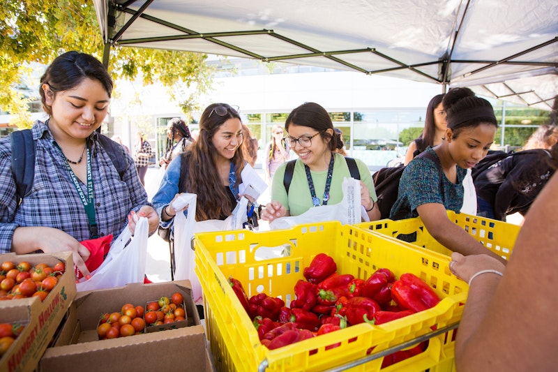 Students at a farmers market