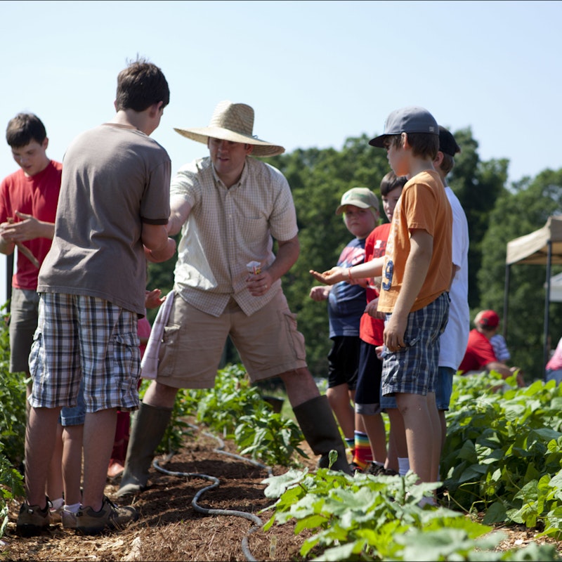 lead photo of children planting vegetables and flowers as they participate in UGArden's Home School Co-op
