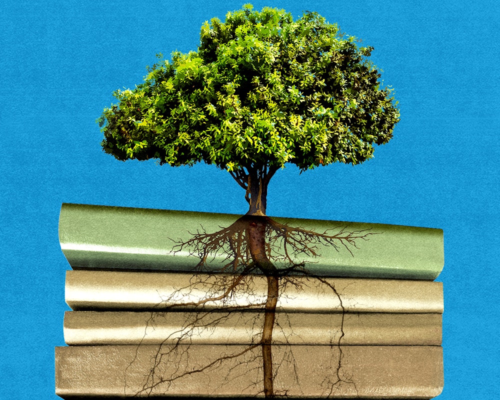 art of tree atop stack of books with roots of tree traveling down stack